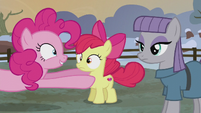 Pinkie places Apple Bloom next to Maud S5E20