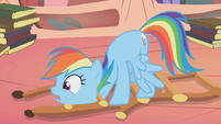 Rainbow Dash head stuck S1E09