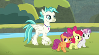 Terramar and Crusaders heading to Seaquestria S8E6