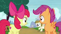 Apple Bloom and Scootaloo watch Zipporwhill chase Ripley S7E6