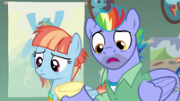 "You mean Rainbow Dash's personal collection of Wonderbolt memorabilia?"