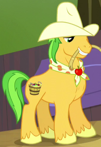 Cowboy my deals little pony