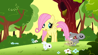 Filly Fluttershy looking at bunnies running away S1E23