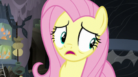 Fluttershy -I wasn't making my excited squeaking noise- S7E20