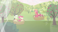 Granny Smith, Apple Bloom, and Big Mac in midair S03E10