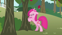 Pinkie Pie hit by apple S3E13