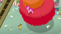 Pinkie walking on piñata S4E12