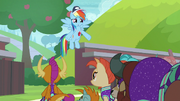 Rainbow Dash "but all of you do" S9E15