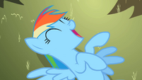 Laugh out loud, Rainbow Dash, laugh out loud.