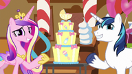 Cadance i Shining Armor wskazują na tort.