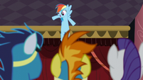 Soarin, Spitfire, and Rarity watches Rainbow dancing S5E15