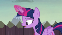 Twilight --backup plan to the backup plan-- S5E23