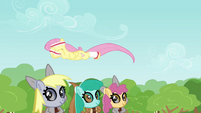 Animals helping Fluttershy S2E22