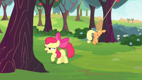 Apple Bloom ready to buck an apple tree S4E17