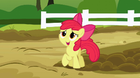 Apple Bloom talking to Applejack in the piggie den S3E9