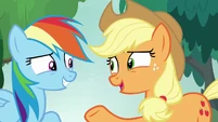 Applejack "togetherness!" S8E9.png (954 KB)
