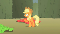Applejack 'this here mission we're on' S2E01