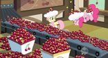 Cherries everywhere in the factory S2E14