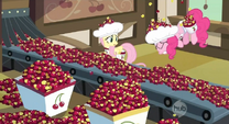 Cherries everywhere in the factory S2E14