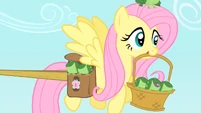 Fluttershy doesn't mind carrying frogs, though.