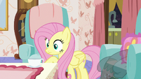 Fluttershy looking at her teacup S7E12