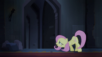 Fluttershy looking for Angel and Rarity S4E03