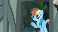 Rainbow Dash looking into the house S4E04