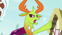 Thorax "no one yells at my friend!" S7E15