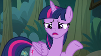 Twilight "Fluttershy's lost somewhere behind us" S8E13