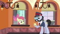Since when do little fillies have beards?