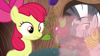 Apple Bloom and Zecora sees an explosion S6E4