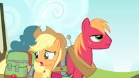 Applejack 'I know, I'm probably just bein' silly' S4E17