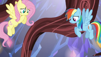 Fluttershy and Rainbow watch Pinkie fall S5E19