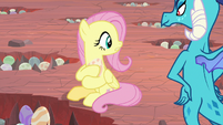 Fluttershy looks around at dragon eggs S9E9