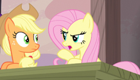 Fluttershy scolds her friends S5E1