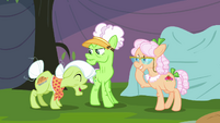 Granny Smith and Apple Rose laughing S3E8