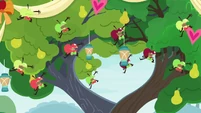 Living apples singing from tree branches S9E23.png (1.12 MB) Living apples singing from tree branches S9E23