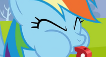 Rainbow Dash blowing whistle S02E22