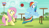 Rainbow Dash tossing the ball to Fluttershy S6E18