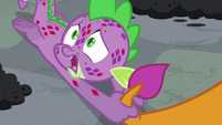 Spike -Twilight already asked me to leave- S8E11