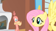 201px-Fluttershy waiting for Philomena to sing S01E22