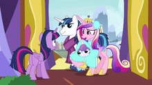 Cadance the scroll we sent yesterday MLPBGE.png