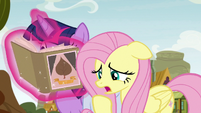 Fluttershy "we told them they were too young" S9E22