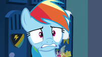 Rainbow Dash losing her patience S7E7