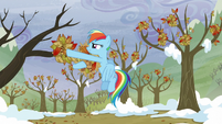 Rainbow puts the leaves back to the trees S5E5