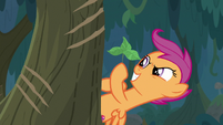 Scootaloo holding sprig with three leaves S9E12