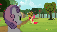 Watching Apple Bloom, do chores.