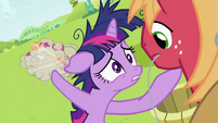 Twilight Sparkle pointing at CMC fighting S2E03