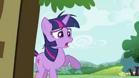 Twilight Sparkle seeing Fluttershy 'fighting' a bear S2E03