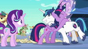 Twilight and Shining Armor hugging S6E1